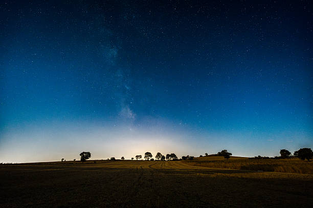 Open rural field surrounded by trees under a star-filled night sky, peaceful nature scenery.