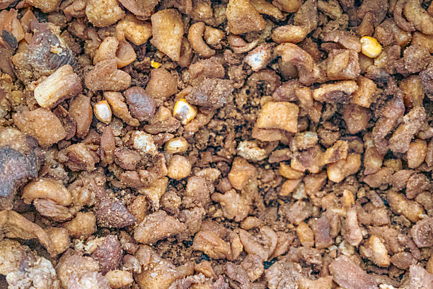 Chicharrones for an Ecuadorian Hornado, a traditional Ecuadorian dish.