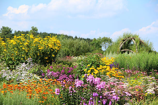 Wonderful herb and flower garden.