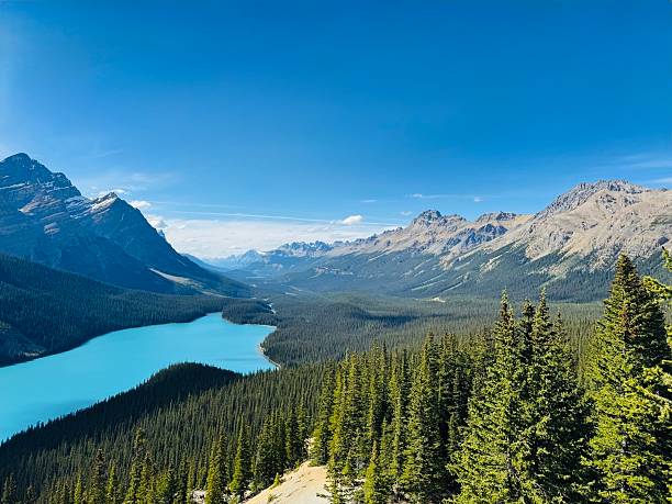 istock Peyto Lake Icefields Parkway Canadian Rockies 2230162246