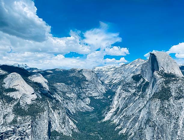 A captivating view of Half Dome, the iconic granite monolith in Yosemite National Park, framed by lush green pine branches. The rugged cliffs rise against a vivid blue sky, creating a stunning composition that showcases the natural beauty and grandeur of Yosemite’s landscape.