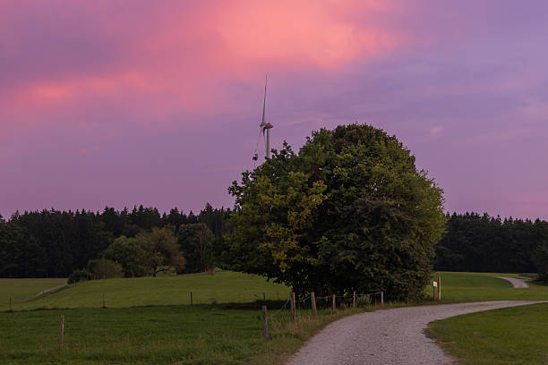 Wilderness area, Sunset sky, Forest with Green energy (wind turbine). Germany countryside.