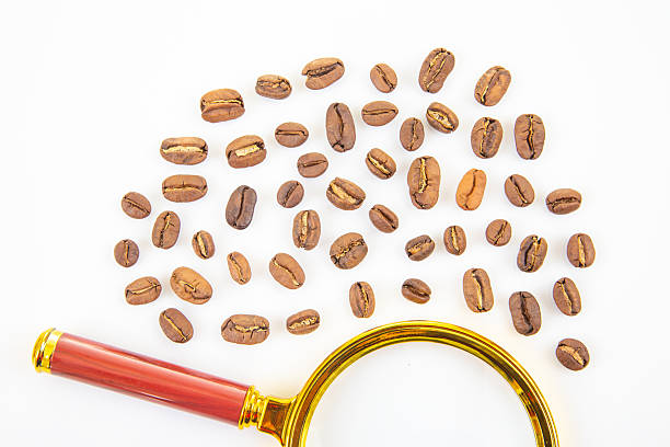 Scattered coffee beans with a golden magnifying glass on a white background, representing coffee quality control, research, and the love for coffee