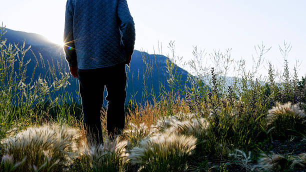Mature man relaxes in mountain meadow at sunrise, Canadian Rockies