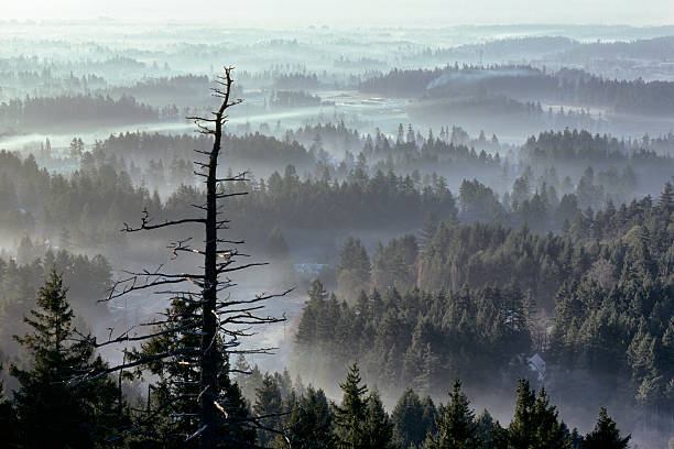 Saanich Peninsula on Vancouver Island, British Columbia
