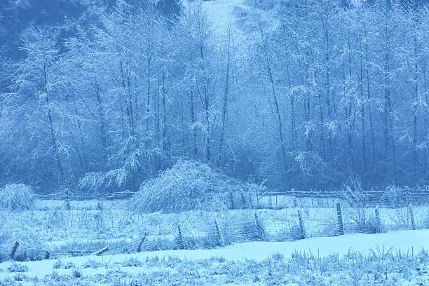 Farm found on the Saanich Peninsula during a snowfall on Vancouver Island, British Columbia