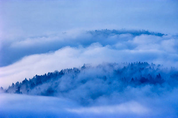 istock Vancouver Island British Columbia 2230184332