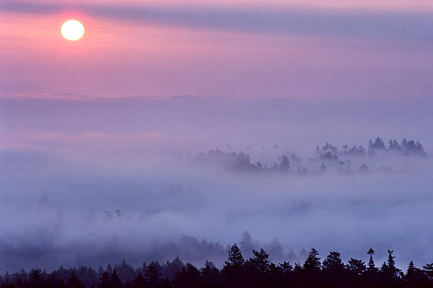 Saanich Peninsula on Vancouver Island, British Columbia