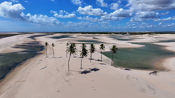 istock Small Sheets At Tutoia In Maranhao Brazil Northeastern. 2230186823