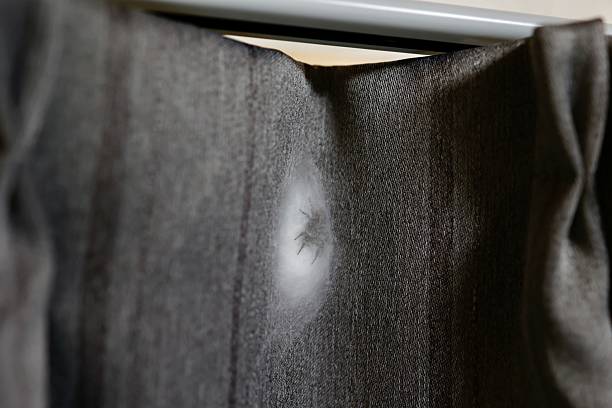 A tiny spider navigates a soft fabric, highlighted by subtle light, showcasing its delicate features and movement.