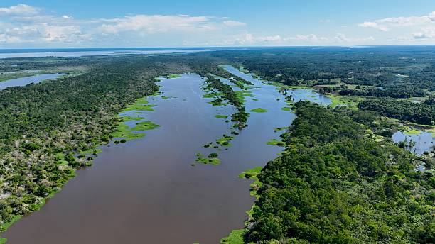 istock Stunning landscape of Amazon Forest at Amazonas State Brazil. 2230194621