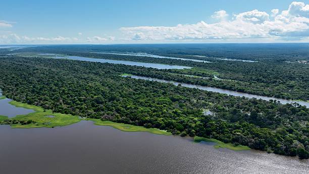 istock Stunning landscape of Amazon Forest at Amazonas State Brazil. 2230196295