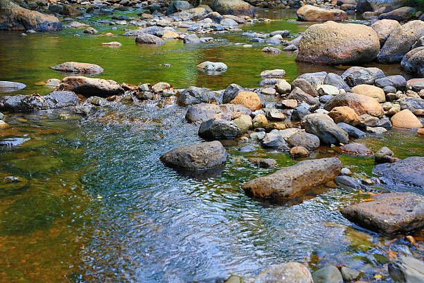 istock Water flowing through rock, pebbles in stream and forest. 2230203934