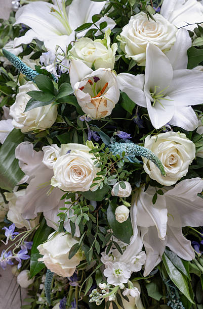 istock a beautiful floral arrangement featuring white lilies and white roses, complemented by various green foliage and subtle accent flowers. 2230205225