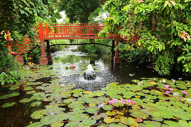 Red wooden bridge over a pond in tropical garden