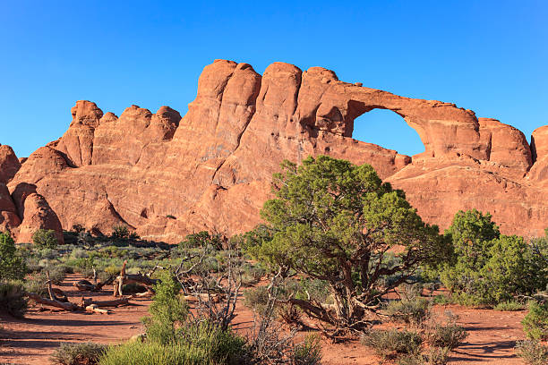 istock Skyline Arch in Arches National Park, UT 2230208096