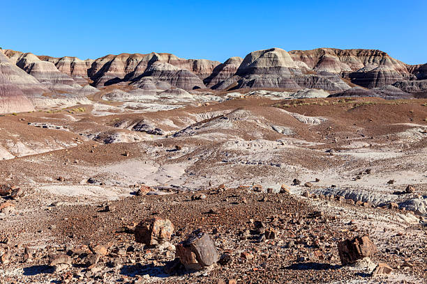 istock Blue Mesa in Petrified Forest National Park 2230208299