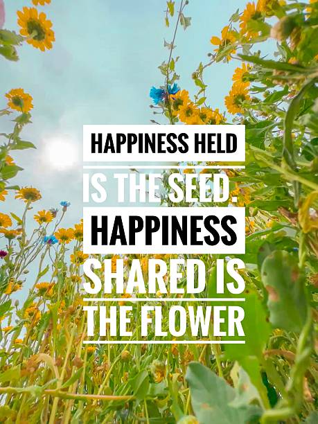 istock Inspiration motivation quote about life, education, learning and knowledge on the nature background. 2230210253