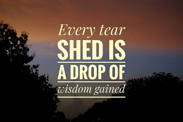 istock Inspiration motivation quote about life, education, learning and knowledge on the nature background. 2230210286