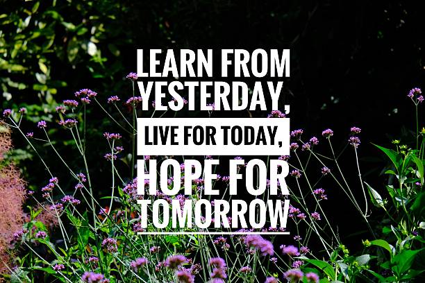 istock Inspiration motivation quote about life, education, learning and knowledge on the nature background. 2230210444