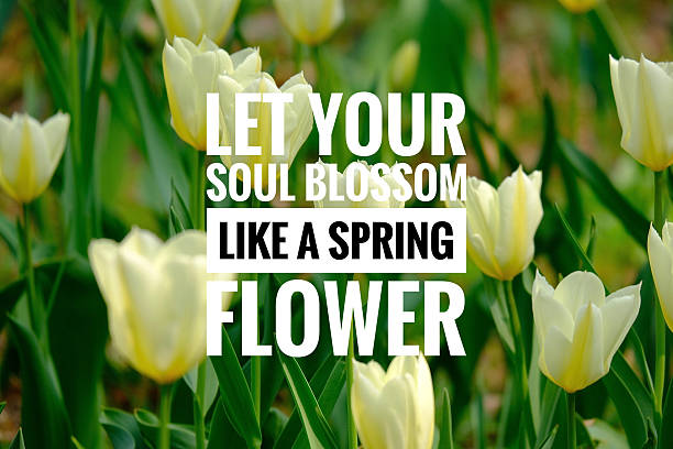 istock Inspiration motivation quote about life, education, learning and knowledge on the nature background. 2230211189
