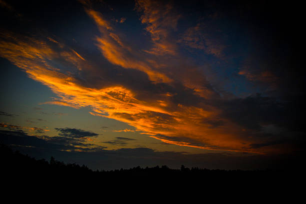 istock The road less traveled 2230220434