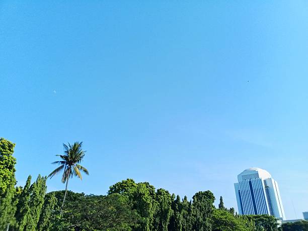 istock Bright morning atmosphere with shady trees 2230222949
