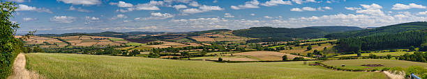 Sunlit Farmland Panorama in Shropshire, UK