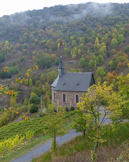 istock Autumn View of the River Rhine 2230234008