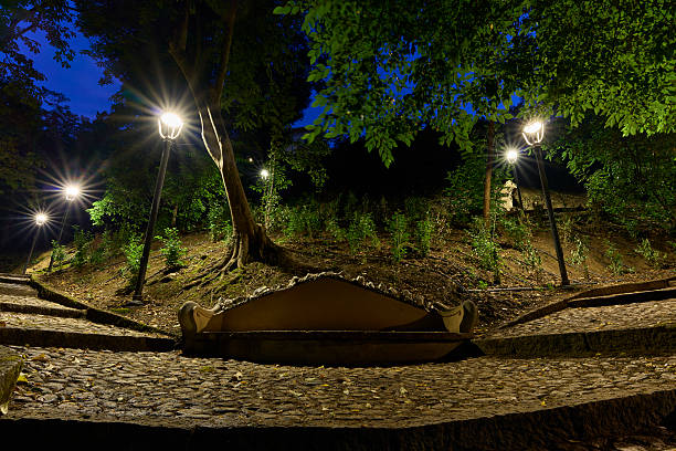 Shadow play in a shady park