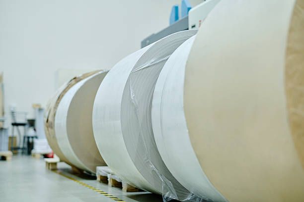 istock Paper Rolls In Print House 2230243200