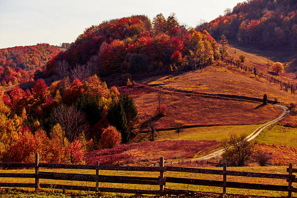 istock Autumn colored trees and countryside landscape scenery. 2230246911