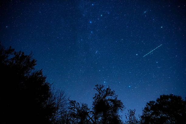 istock Milky Way stars and rural countryside tree silhouettes 2230247654