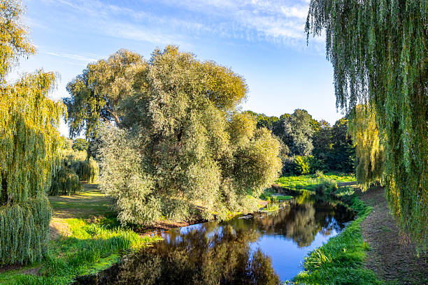 istock Beautiful river nature bridge and blue sky Brest Fortress Belarus. 2230247999