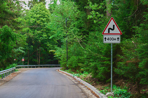 A winding road sign stands beside a winding path in a lush green forest