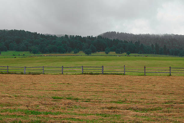 istock Expansive green fields under cloudy skies in a peaceful rural area 2230248916