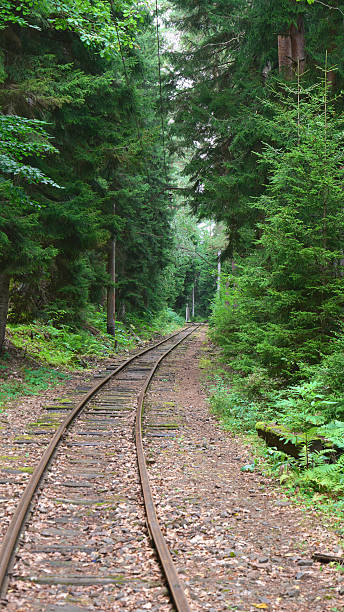 istock Train tracks winding through a lush green forest in a quiet setting 2230248971