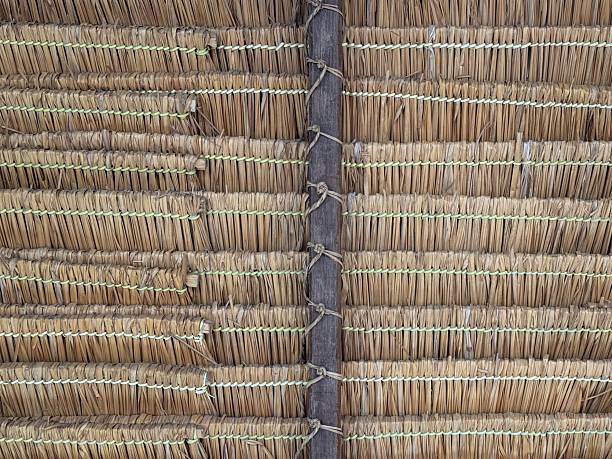 Vertical minimal image featuring the edge of a lush straw beach hut roof, set against a clear blue sky. Captured in Golfo Aranci, Sardinia, the composition emphasizes simple lines and natural textures, evoking a calm Mediterranean atmosphere. The ample blue sky provides clean copy space, making the image suitable for summer, travel, or resort-themed content.