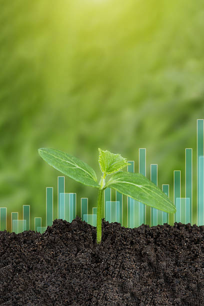 istock Seedling are growing from soil with business growth 2230249477