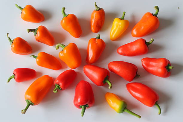 istock Mini bell peppers presented on a white surface, featuring vibrant red, orange, and yellow pods with green stems 2230251372