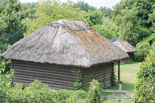 istock A quaint, aged thatched-roof cottage in a lush natural setting, surrounded by broad-leaved plants and a rustic fence The structure is made of dark logs with a reedstraw roof No visible windows or 2230254825