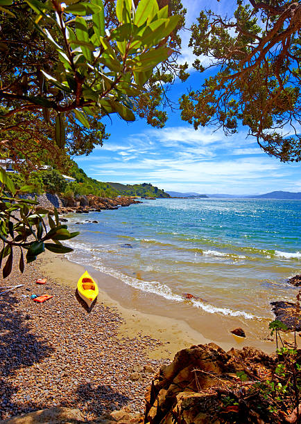 A photo of the beach of Karaka Bay, New Zealand