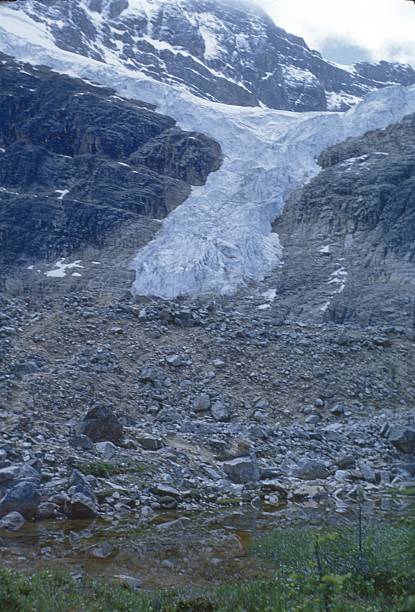 istock The Athabasca Glacier in Jasper National Park, Alberta 2230263187