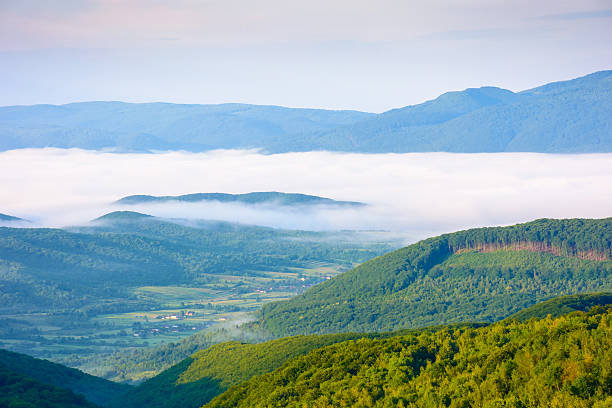 rural landscape with fog in summer. green meadow on the hill in morning light. beautiful countryside in carpathian mountains under blue sky with clouds. scenic view