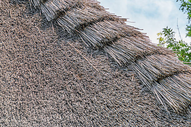 Ancient Central European thatched roof structure, natural color with multiple tiers, daylight photography emphasizing texture and natural tones, high resolution, angled perspective