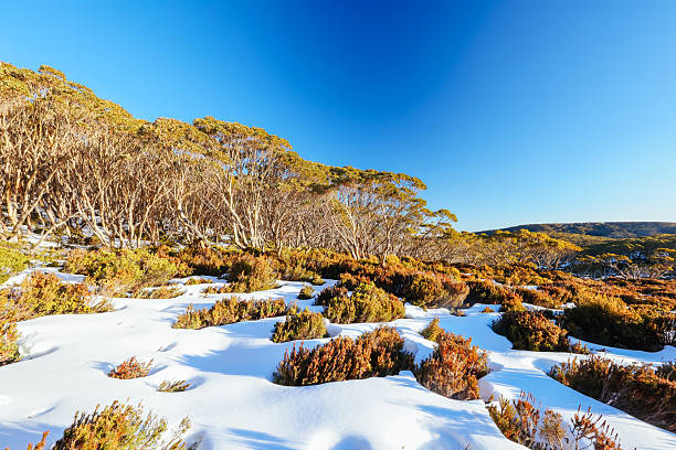 istock Mt St Gwinear Sunset in Australia 2230273149