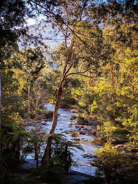 istock Yarra River View in Warburton Australia 2230273165