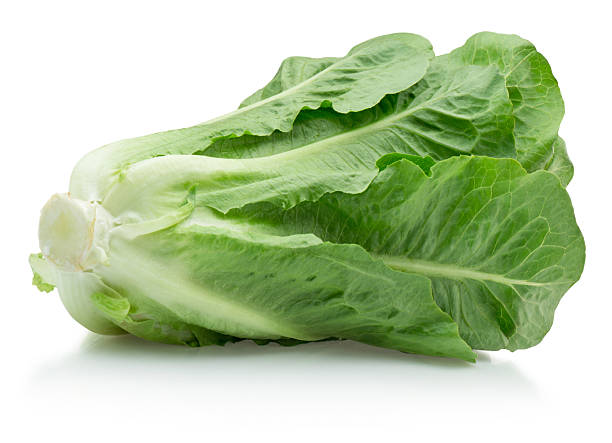 istock Fresh green romaine lettuce isolated on white background 2230275940