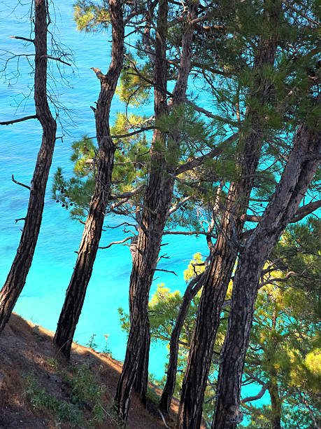 Black Sea, Blue Abyss, Seascape.