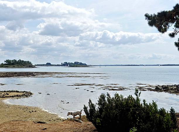 istock View of the sea 2230276886